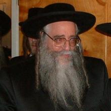 Zvi Halberstam's Profile Photo