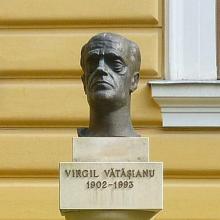 Virgil Vatasianu's Profile Photo