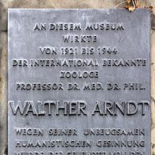 Walter Arndt's Profile Photo