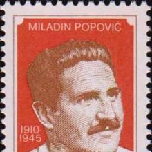 Miladin Popovic's Profile Photo