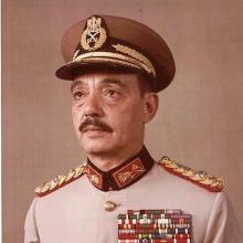 Muhammad Mohamed Abdel Ghani el-Gamasy's Profile Photo