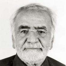 Nematollah Gorji's Profile Photo