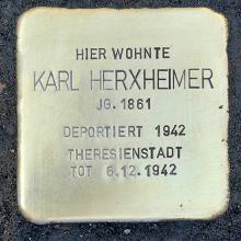 Karl Herxheimer's Profile Photo