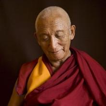 Geshe Sonam Rinchen's Profile Photo