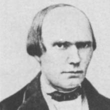 Heinrich Rinne's Profile Photo
