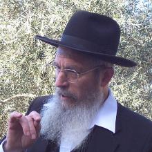 Yisrael Ariel's Profile Photo