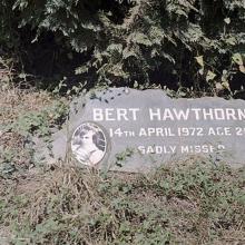 Bert Hawthorne's Profile Photo