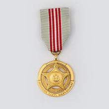 Award Public Service Star (BBM)