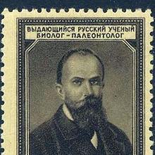 Vladimir Kovalevsky's Profile Photo