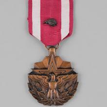 Award Meritorious Service Medal with Oak Leaf Cluster