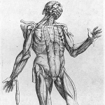 Achievement  of Thomas Geminus