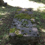 Photo from profile of Franz Aepinus