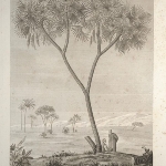 Photo from profile of Alire Delile