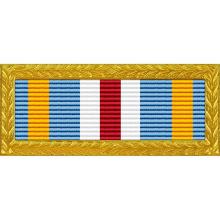 Award Joint Meritorious Unit Award