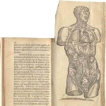Photo from profile of Salomon Alberti