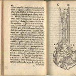 Photo from profile of Salomon Alberti