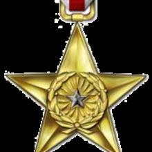 Award Silver Star