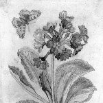 Photo from profile of Denis Dodart