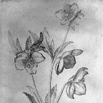 Photo from profile of Denis Dodart