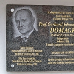 Achievement A plaque at the tourist information building in Łagów dedicated to Domagek. of Gerhard Domagk
