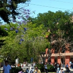 Photo from profile of Mario Morales