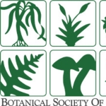 American Botanical Society