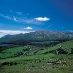 Photo from profile of Fergus Bourke
