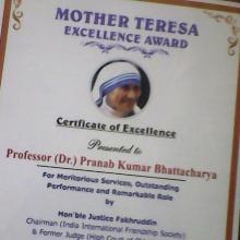 Award Mother Teresa Excellance awards 2017