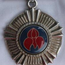 Award Pro Merito Medal