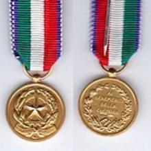 Award Italian Medal of Merit for Culture and Art