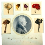 Achievement A portrait of Benjamin Smith Barton and some of his botanical images. Courtesy the American Philosophical Society. of Benjamin Barton