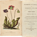 Photo from profile of Benjamin Barton