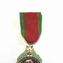 Award Gunnerus Medal