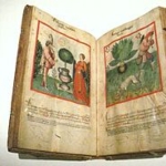 Achievement Ibn Butlan's Tacuinum sanitatis, Rhineland, 2nd half of 15th century. of Ibn Butlan