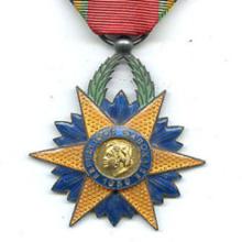 Award Order of the Equatorial Star
