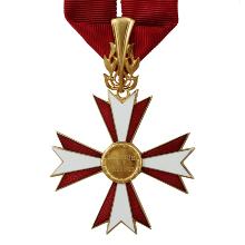 Award Austrian Cross of Honour for Science and Art