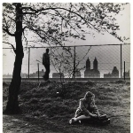 Achievement One of Fred Stein’s untitled pictures sold at Swann Auction Galleries for $2,530 in 2001. of Fred Stein