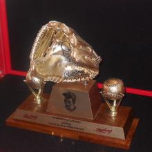 Award Gold Glove Award