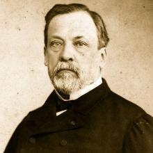 Louis Pasteur's Profile Photo