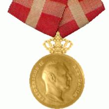 Award Golden Medal of Merit