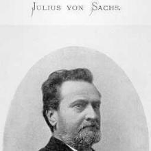 Julius Sachse's Profile Photo
