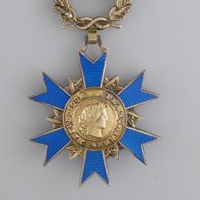 Award French National Order of Merit