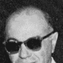 Natale Evola's Profile Photo