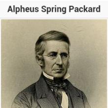 Alpheus Packard's Profile Photo