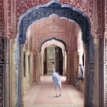 Photo from profile of Karen Knorr