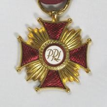 Award Poland’s Gold Cross of Merit