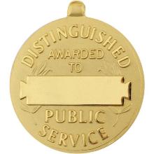 Award Navy Distinguished Public Service Award