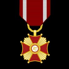 Award Gold Cross of Merit