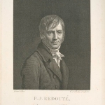 Photo from profile of Pierre-Joseph Redouté