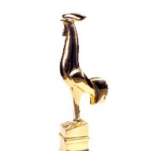 Award Golden Rooster Award (2003)